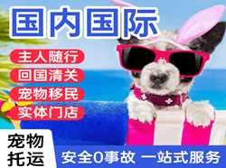 黄山屯溪机场快递国际宠物托运 【国